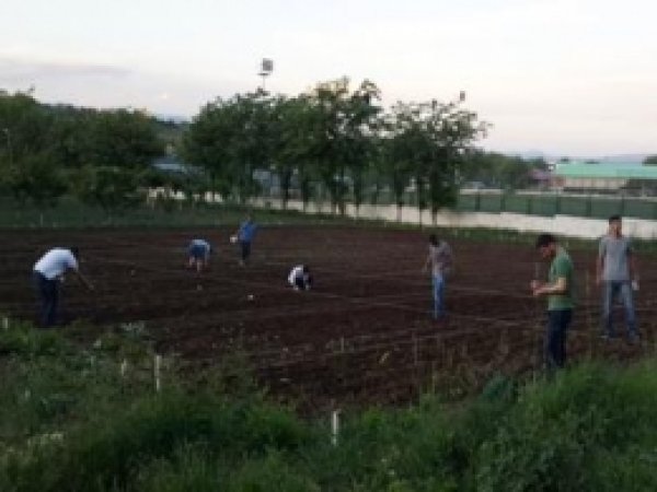 Bingöl'de Yağ Bitkileri Deneme Ekimleri Yapıldı 