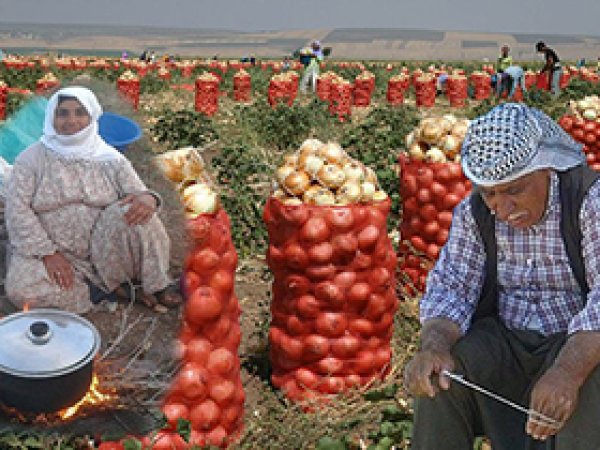 Onlar Ramazanı Tarlada Karşıladı 