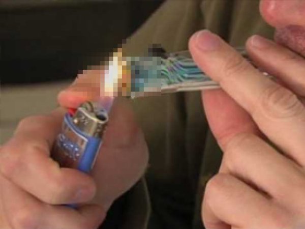 Marihuana ABD Eyaletlerinde Yasallaşıyor