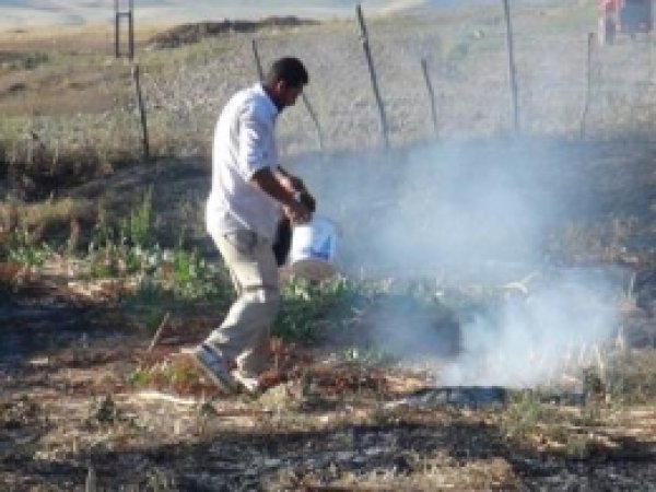Muş'taki Ateşin Nedeni Araştırılacak 
