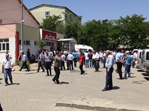 Muş'ta Ot Kavgası: 2 Ölü 