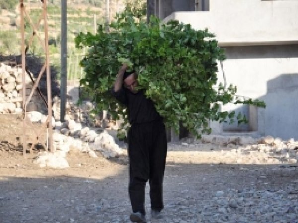 Ramazan'da Köy Hayatı 