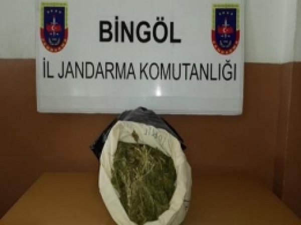 Bingöl'de 36 Kilo Esrar Ele Geçirildi 