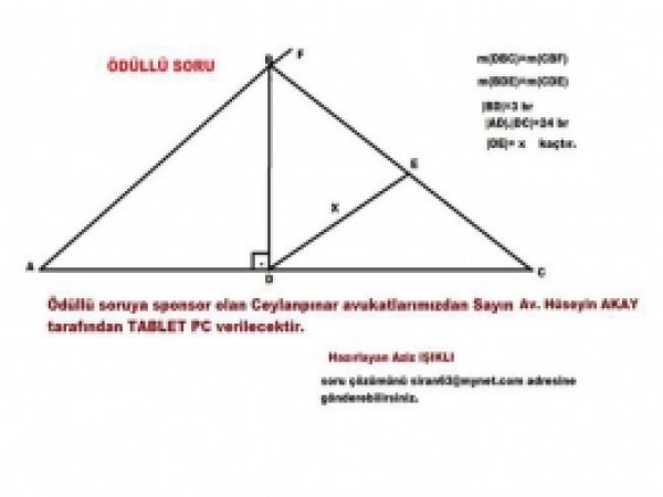 Ceylanpınar'da Ödüllü Matematik Sorusu 
