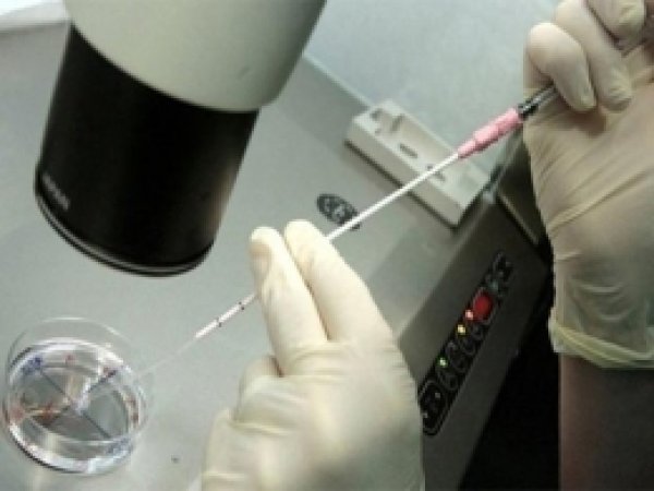 Nedir Bu Ebola Salgını? 