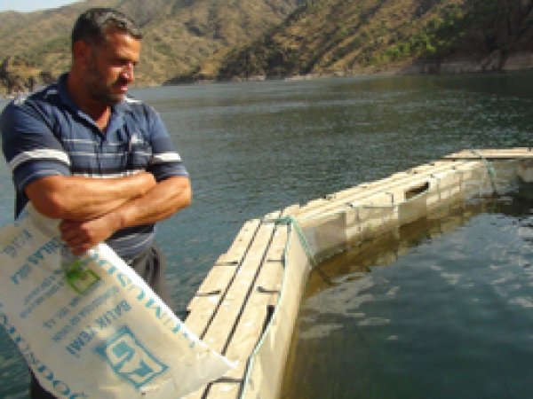 Çermik'te Balık İşletmecileri Zor Durumda 