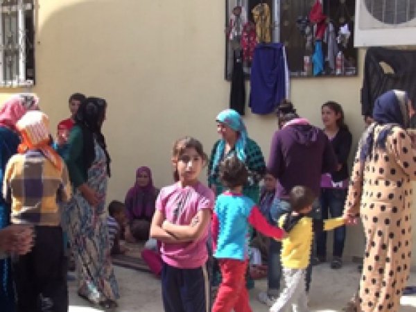Suruç'ta Salgın Hastalık Korkusu 