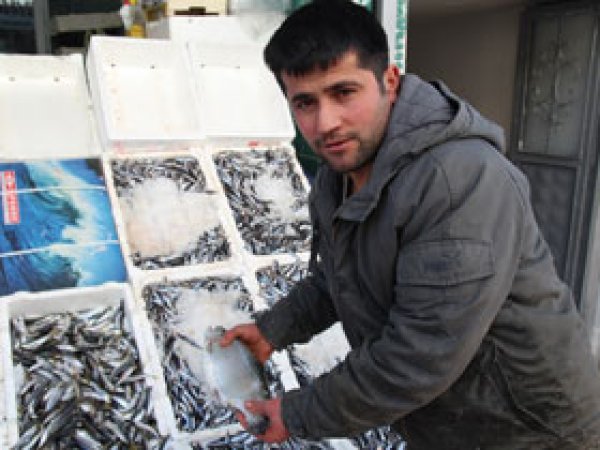 Sert kış balıkçıları olumsuz etkiliyor