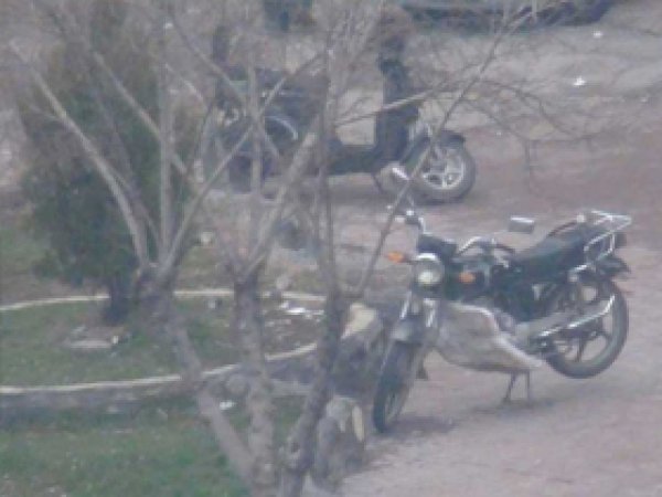 Polis: Çalındıysa zor bulunur