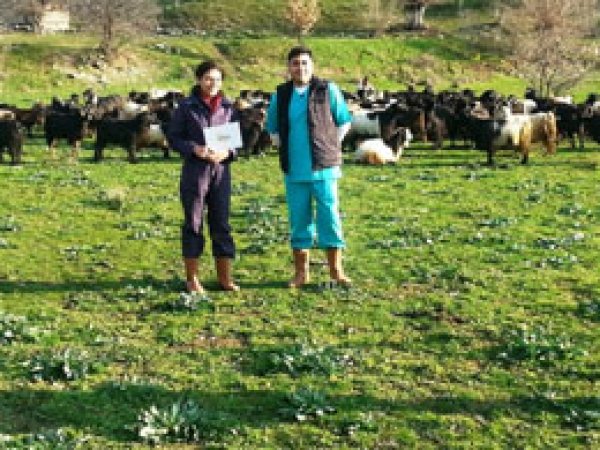 Hayvanlarda antibiyotikler gizli tehdit içeriyor