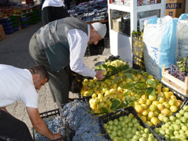 Bitlis'te yerli armut bereketi yaşanıyor