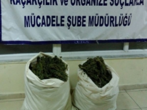 Batman'da 22 kilogram esrar ele geçirildi