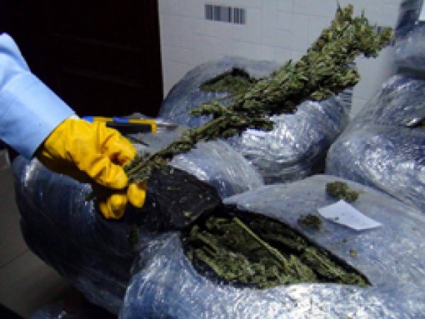 Siverek'te 55 kilo esrar ele geçirildi