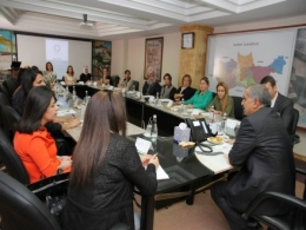 Mardin'de ortak akıl toplantıları sürüyor 