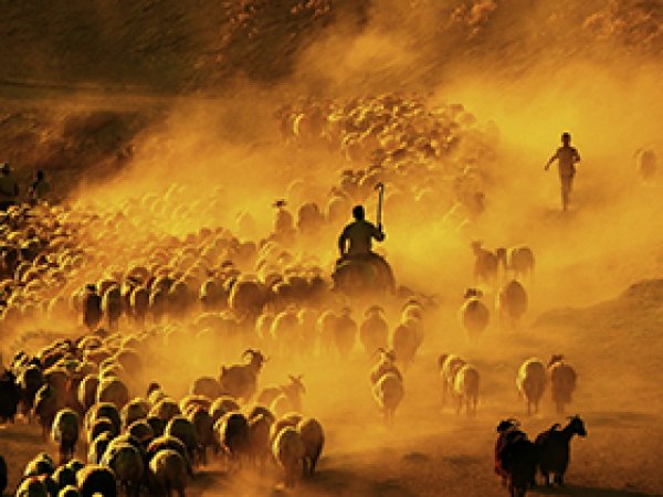 Bitlisli fotoğrafçıya FIAB Mansiyon ödülü