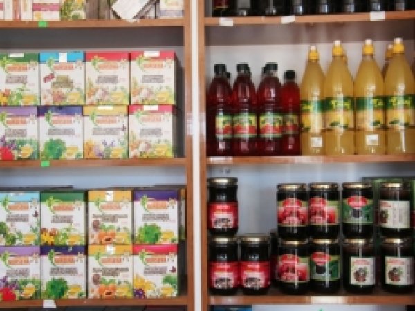 'Kışta Ihlamur ve Gülhatmi bitkilerini tercih edin'