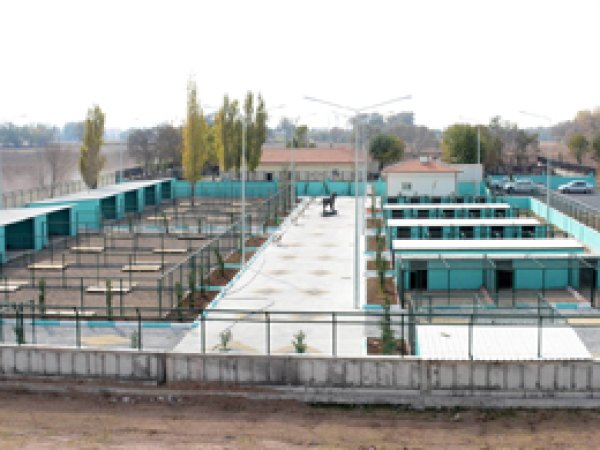 Sokak hayvanlarına rehabilitasyon merkezi kuruldu