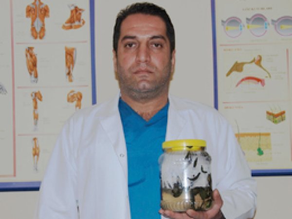 Sülük birçok hastalığa deva