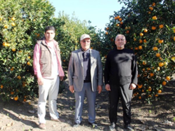Rusya ambargosu Adanalı üreticiyi etkiledi