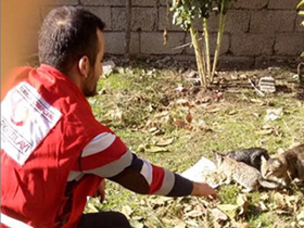 Aç kalan hayvanlar için yem bırakıldı