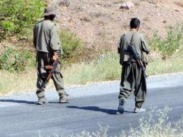 Dargeçit'te 5 PKK'li öldürüldü