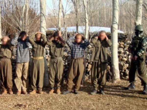 Şırnak ve Urfa'da PKK'lı 8 kişi teslim oldu