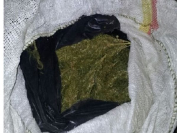 Bingöl'de uyuşturucu zanlısı 4 kişi tutuklandı