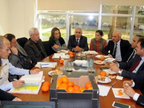 Adana'dan Japonya'ya limon ihracı