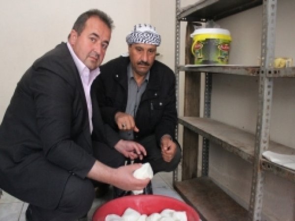 Ceylanpınar'da taze peynir tezgâhtaki yerini aldı