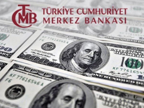 Merkez Bankası Dolar'a müdahale edecek