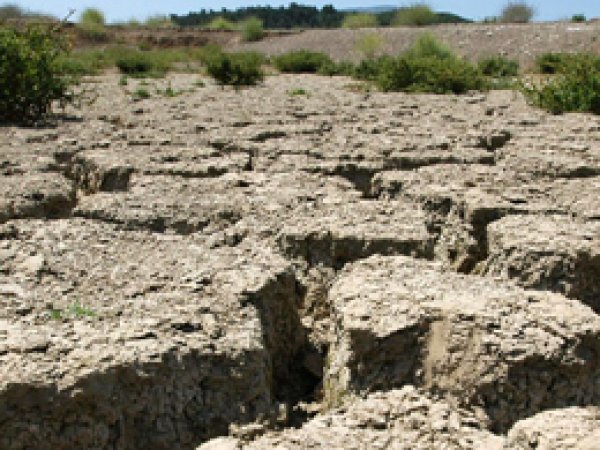 Diyarbakır’da 126 Bin 270 Dekar Arazi Suya Kavuşacak 