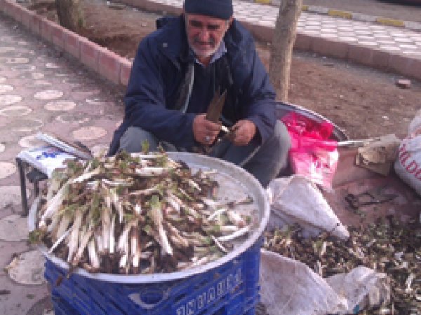 Kenger tezgâhlardaki yerini aldı