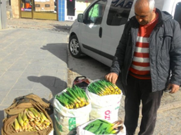 Bitlis ‘Uçkun’u tezgâhlara girdi
