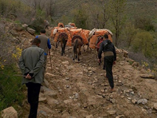 PKK'ya kaçakçılık darbesi