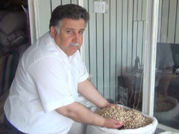 'Antep Fıstığında yüksek rekolte bekliyoruz'