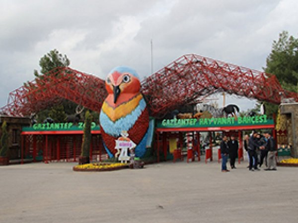 Antep'teki safari parkına yoğun ilgi