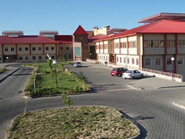 Koca hastanede 2 doktor hastalara bakıyor