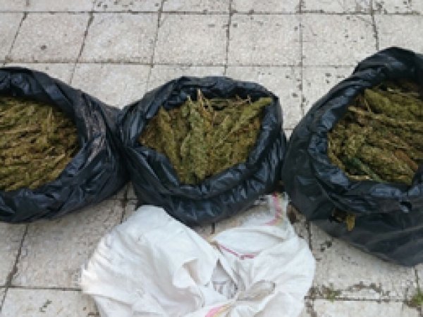 Diyarbakır’da 9 kilo esrar ele geçirildi