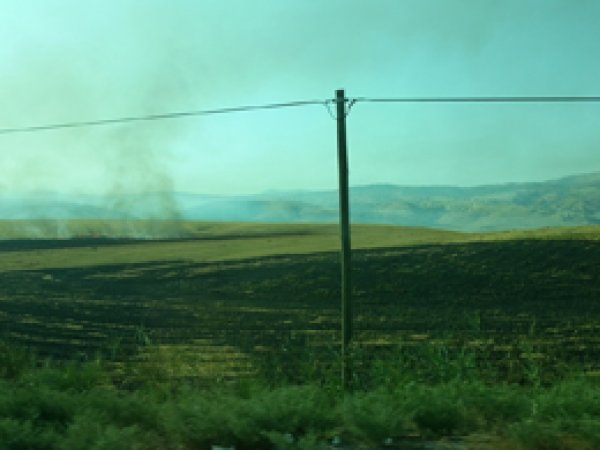 Siirt’e anız yakmaları devam ediyor
