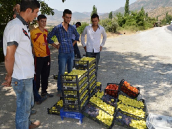 Yetiştirdikleri meyveleri yol kenarlarında satıyorlar
