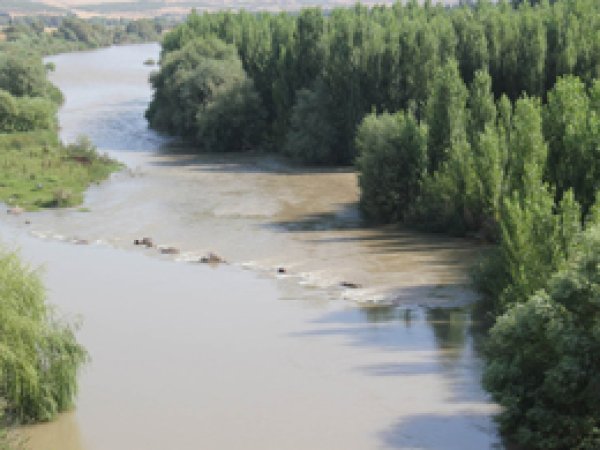 ‘Dicle Nehri can çekişiyor!’