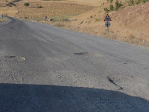 Bingöl’de düzeltilmeyen yola tepki
