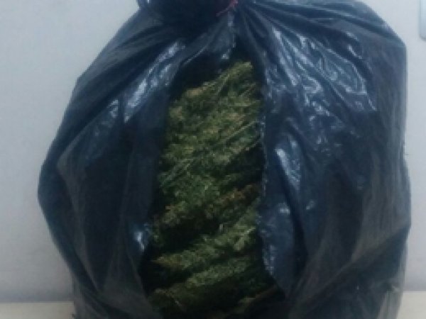 Diyarbakır’da 146 kilo esrar ele geçirildi