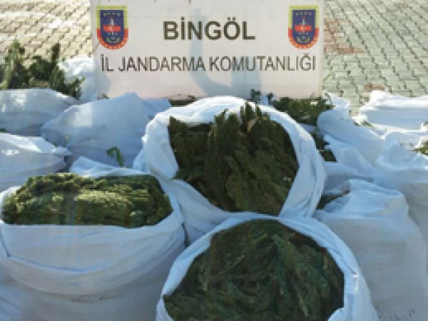 Bingöl'de 530 kilo esrar ele geçirildi