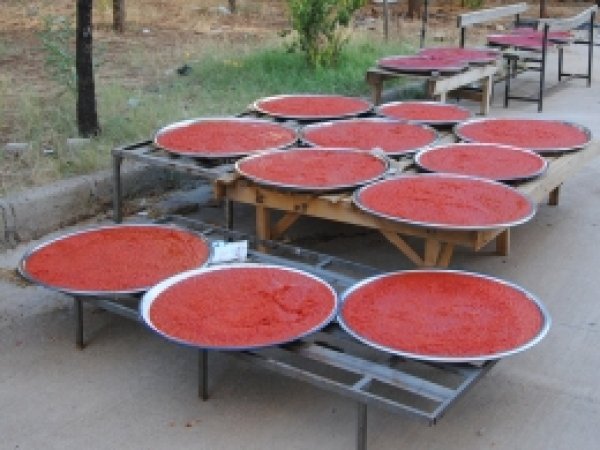 Siverekli kadınlardan kış hazırlığı