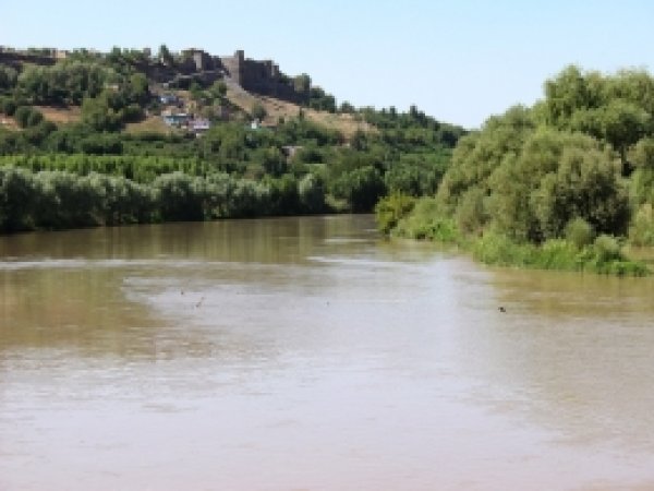 Dicle Nehrinde balık çeşidi azalıyor