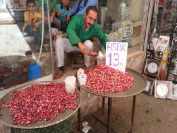 Siverek'te fıstığın kilosu 13 TL'ye düştü