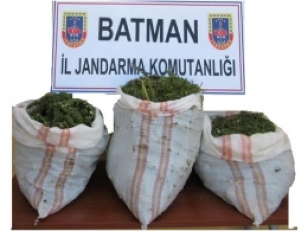 Batman'da esrar baskını