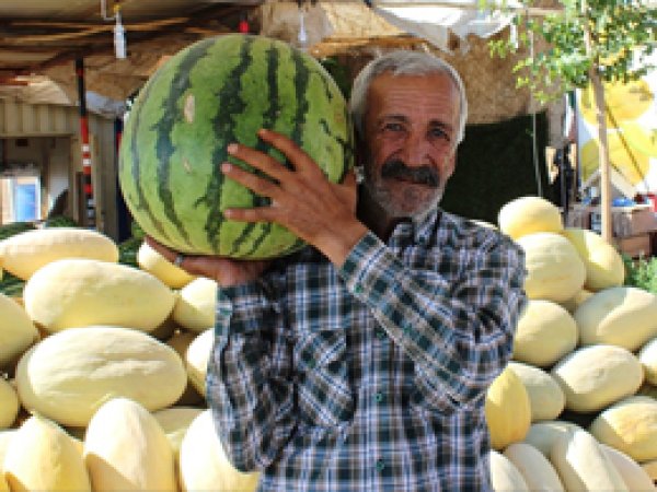 Yetiştirdikleri kavun karpuzları yol kenarında satıyorlar