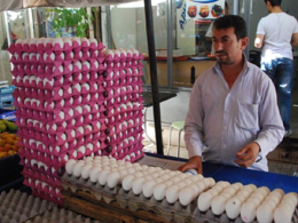 İhracatın artması yumurta fiyatlarını yükseltti